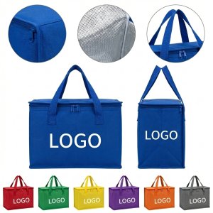 Reusable Insulated Collapsible Cooler Bag for Groceries and Travel